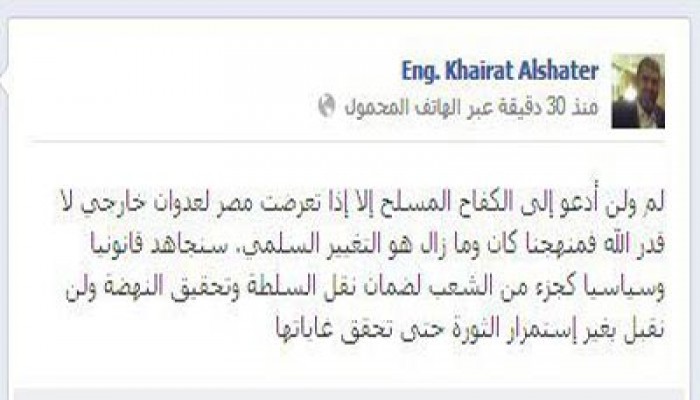 الشاطر: منهجنا يقوم على التغيير السلمي