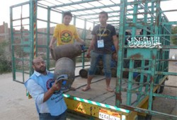 "الحرية والعدالة" يساهم في حل أزمة البوتاجاز بالشرقية