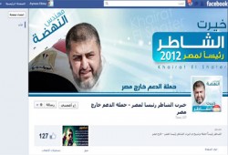 نشطاء يدشنون صفحة لدعم "الشاطر" بالخارج