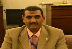 حملة سكندرية لصيانة أعمدة الإنارة برعاية الحرية والعدالة