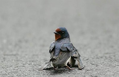 أعيش في صدمة من خطيبتي!