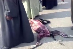 حملة توعية لـ"الحرية والعدالة" بأسوان عن "الحمى القلاعية"