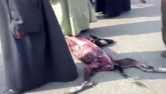 حملة توعية لـ"الحرية والعدالة" بأسوان عن "الحمى القلاعية"