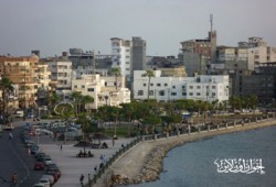 نواب دمياط يطالبون بتفاصيل محطة "الخرافي" للكهرباء