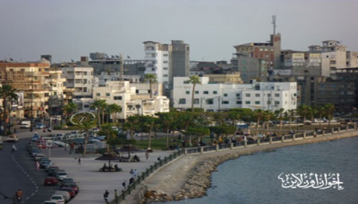 نواب دمياط يطالبون بتفاصيل محطة "الخرافي" للكهرباء