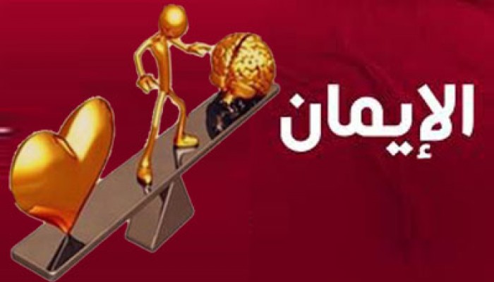 د. مجدي الهلالي يكتب: الإيمان بين العقل والقلب