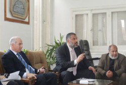 نشاط واسع للحرية والعدالة بالشرقية