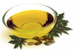 الكتان والخردل والشعير لعلاج أمراض القلب والسمنة والسكر