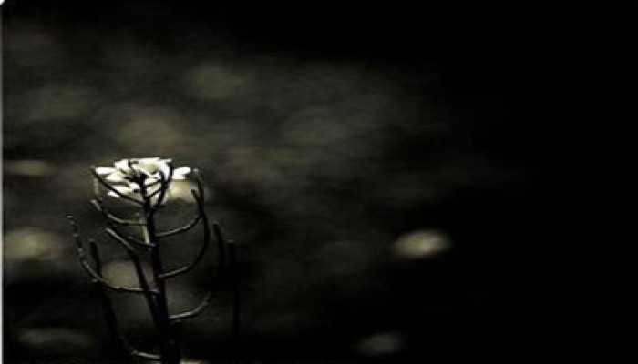 أمها تحول بيننا.. ماذا أفعل؟!