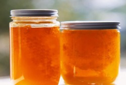 عسل النحل يدعم الجهاز المناعي للرضَّع