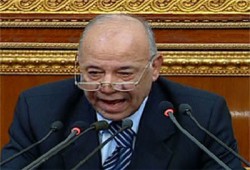 تفويض البرلمان في مواعيد استجواب المشير ووزير الداخلية