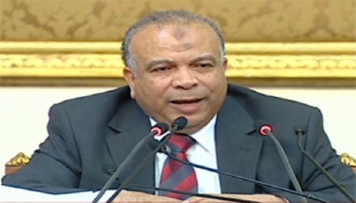 الكتاتني: الدستور الجديد لا بد أن يكون توافقيًّا ولا يفرق بين المصريين