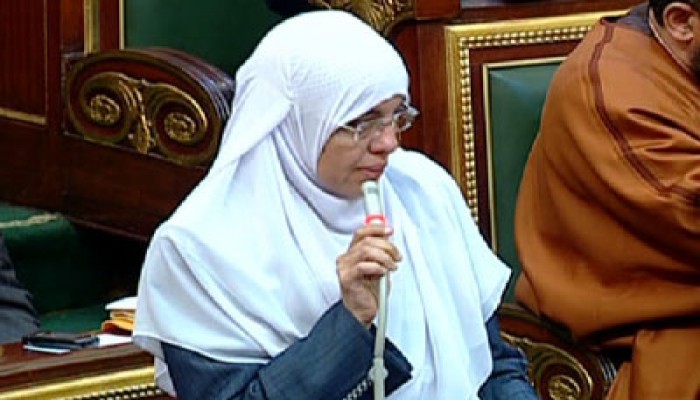 عزة الجرف: الدستور الجديد يشغل جميع نواب الشعب