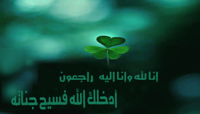 المرشد العام يواسي الدكتور هشام حمود