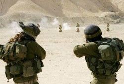 الجيش الصهيوني يجند الأشجار للدفاع عن المنازل