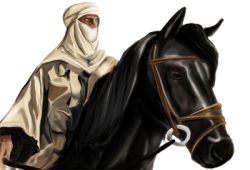 أسامة بن زيد