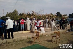 "الحرية والعدالة" يساهم في إغاثة منكوبي "أبو سمبل"