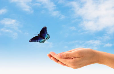 د. محمد منصور يكتب عن: ضابط الحرية