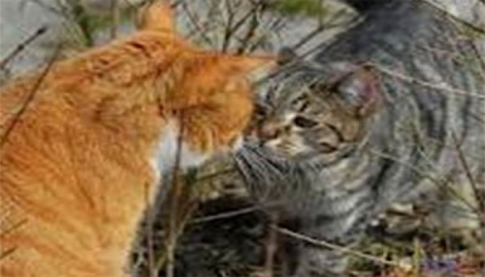 أسماء صقر تكتب عن: الحبيب العدو!!