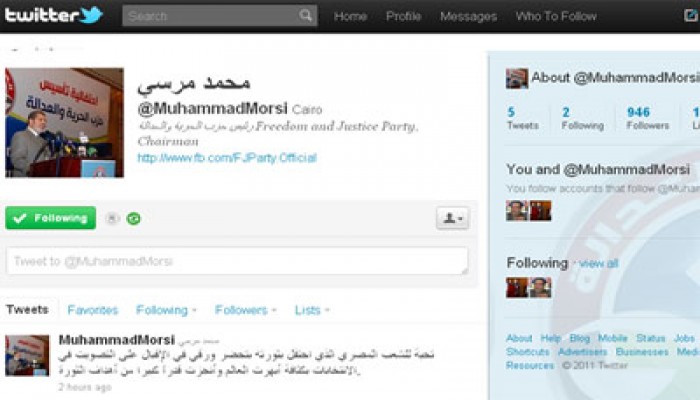 شباب حلوان يشكلون لجانًا شعبية لحماية الصناديق