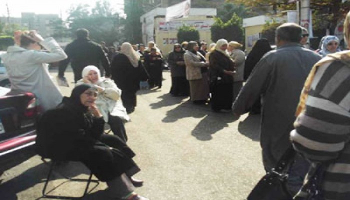 عجائز مصر الجديدة.. عرائس الديمقراطية