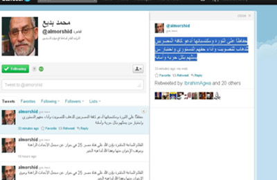 المرشد العام: المشاركة في الانتخابات تحافظ على الثورة