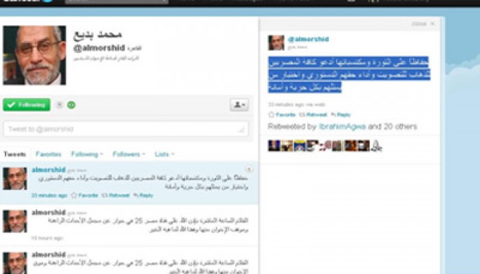 المرشد العام: المشاركة في الانتخابات تحافظ على الثورة