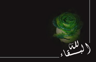 إخوان الدقهلية يواسون محمد سعد في وفاة خاله