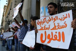 اليوم.. "الإدارية العليا" تفصل في طعن استبعاد الفلول