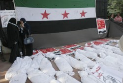 ثوار سوريا: قرار "الجامعة" لم يثأر لدماء الشهداء