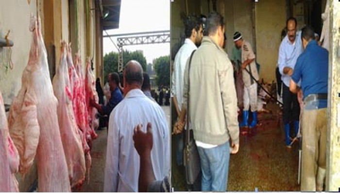 "مدبح البساتين".. احترس من الغش!