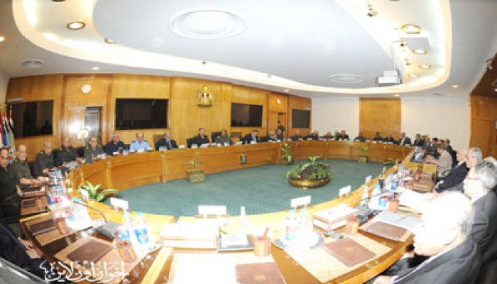 "العسكري" يكلف الحكومة بتمكين المصريين بالخارج من التصويت