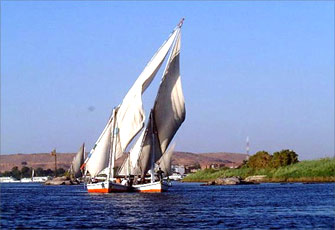 عروض فنية لقبائل أسوان