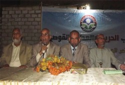 محمود حلمي: إرادة الشعب ستقهر أي فاسد