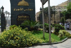 ١١ مرشحًا للشعب و٢ للشورى بالإسكندرية