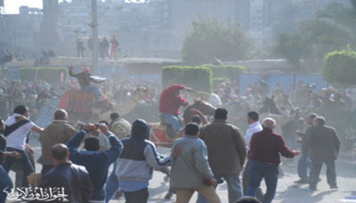 القوى السياسية بأسيوط تتوحد ضد فلول الوطني