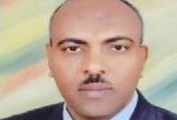 الحركات الإسلامية وفقه المرحلة الراهنة