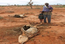 استقبال صومالي رسمي وشعبي للوفد المصري بمقديشو