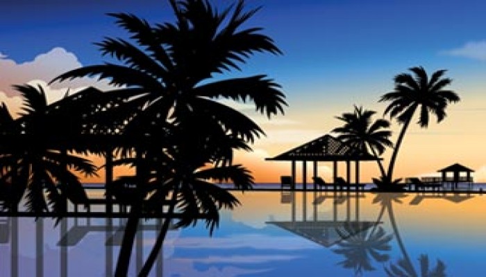 صيف الحرية وبرامج إبداعية للنهوض بالأمة (1)