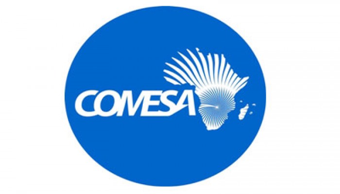 قمة "الكوميسا".. مصر في إفريقيا