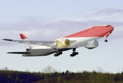 العقول المهاجرة.. مصر تحتاج أبناءها