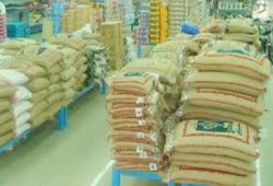 "تأمين الغذاء في مصر".. الحلول ممكنة