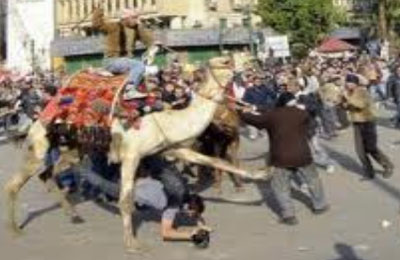 عفوًا.. خدمة عذبني شكرًا قد انتهت