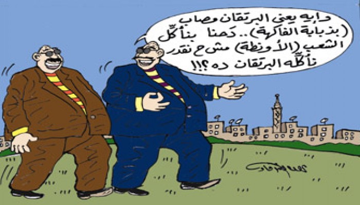 فواكه مصر "المضروبة".. خسائر وأمراض