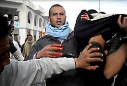 الـ"ديلي ميل": ثورة تونس الأولى بعد تسريبات ويكيليكس