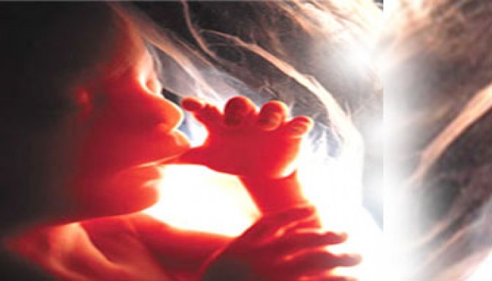 مراحل تطور الارتباط والانفصال عند الأطفال