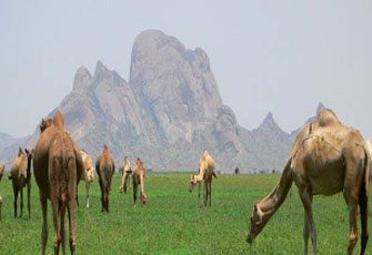 مخطط تقسيم السودان.. سرقة غذاء العرب!