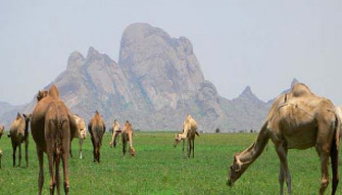 مخطط تقسيم السودان.. سرقة غذاء العرب!