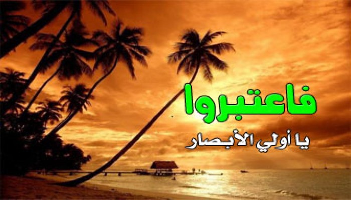 التربية الرسالية.. الفكر أول الواجبات