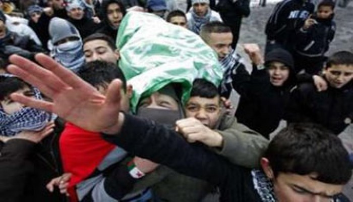 عائلات الشهداء بغزة.. ذكريات الدم والدمار